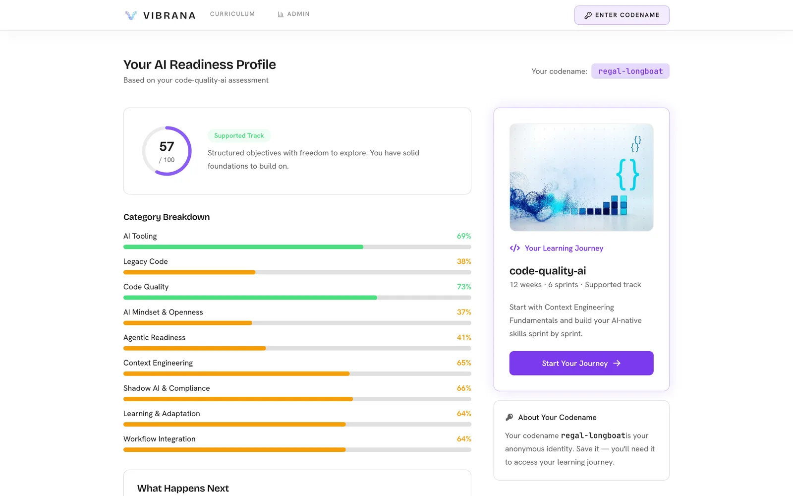 A sample AI readiness profile: an overall score and a bar for each category